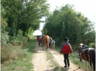  on the horse trails